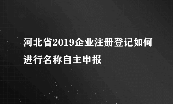河北省2019企业注册登记如何进行名称自主申报