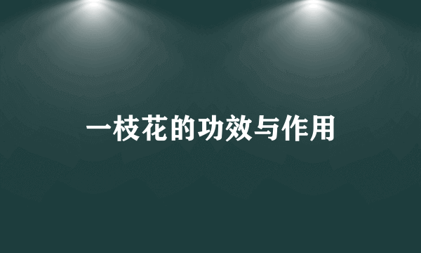 一枝花的功效与作用