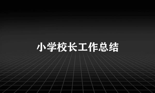小学校长工作总结