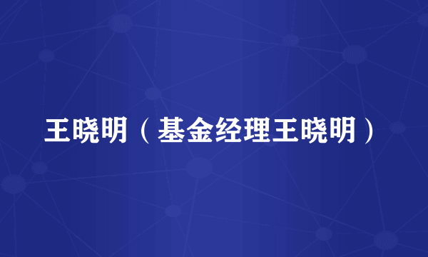 王晓明（基金经理王晓明）