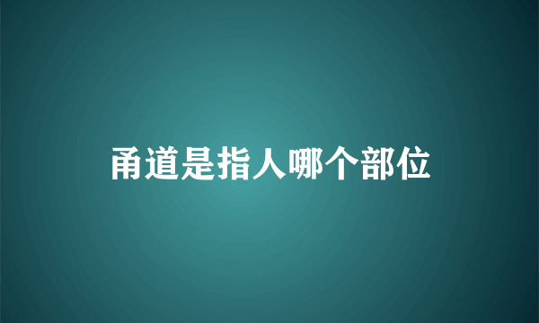 甬道是指人哪个部位