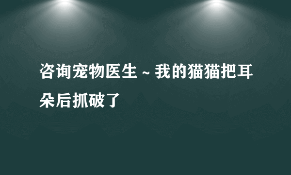 咨询宠物医生～我的猫猫把耳朵后抓破了