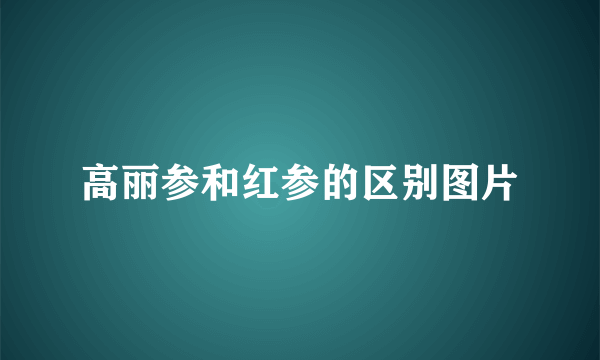 高丽参和红参的区别图片