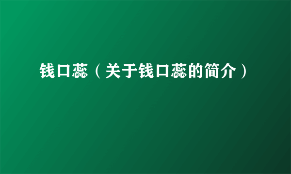 钱口蕊（关于钱口蕊的简介）