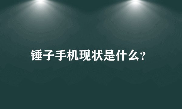 锤子手机现状是什么？