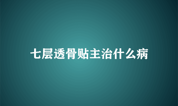 七层透骨贴主治什么病