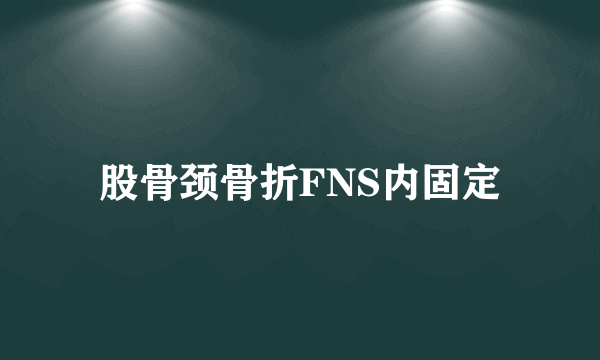 股骨颈骨折FNS内固定
