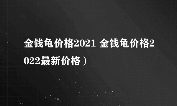 金钱龟价格2021 金钱龟价格2022最新价格）