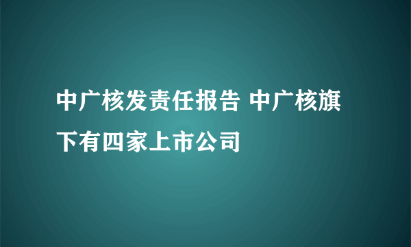 中广核发责任报告 中广核旗下有四家上市公司