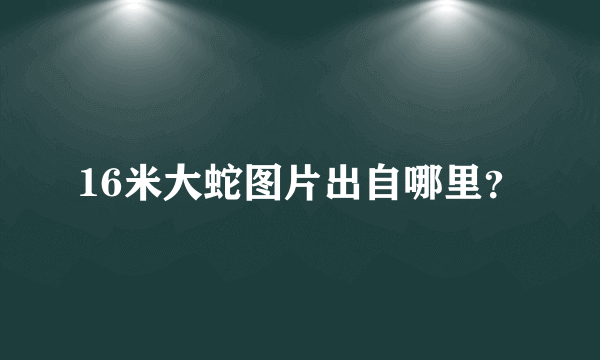 16米大蛇图片出自哪里？