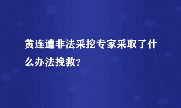 黄连遭非法采挖专家采取了什么办法挽救？