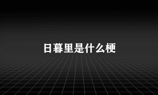 日暮里是什么梗