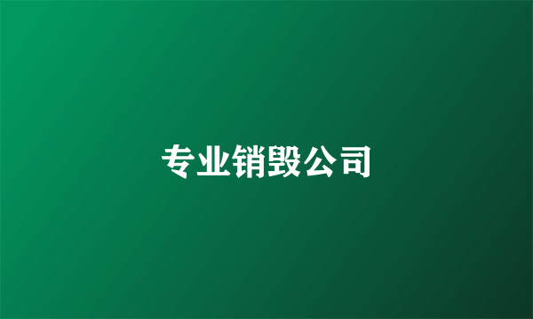 专业销毁公司