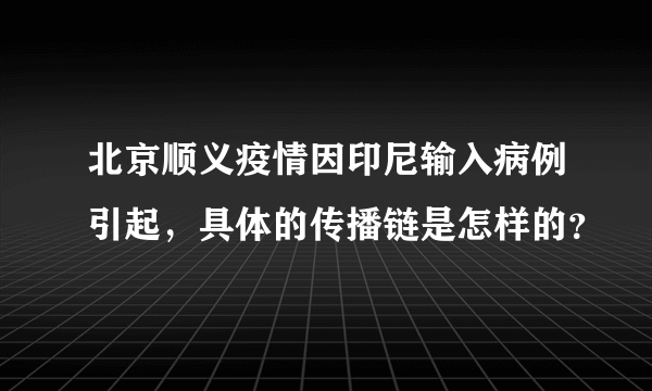 北京顺义疫情因印尼输入病例引起，具体的传播链是怎样的？