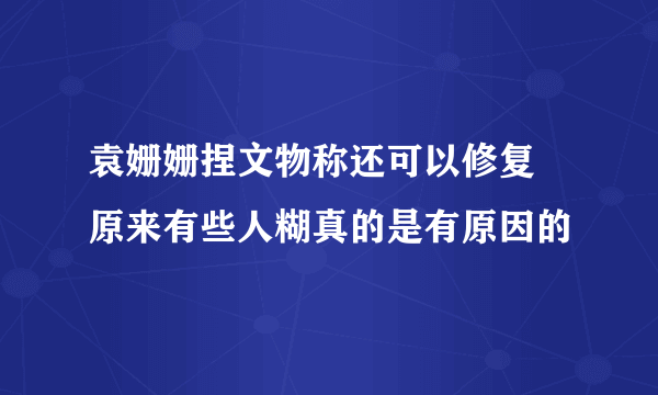 袁姗姗捏文物称还可以修复 原来有些人糊真的是有原因的