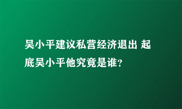 吴小平建议私营经济退出 起底吴小平他究竟是谁？