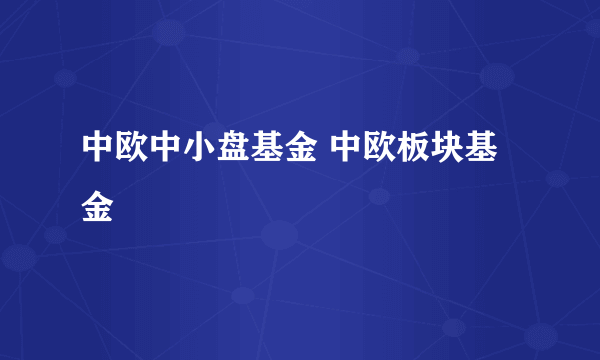 中欧中小盘基金 中欧板块基金