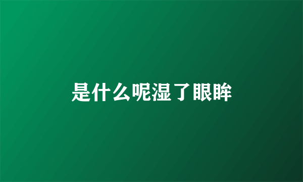 是什么呢湿了眼眸