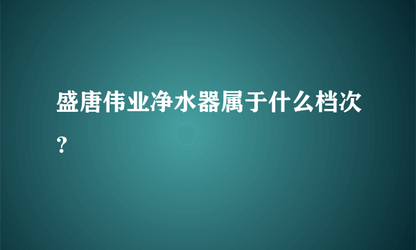 盛唐伟业净水器属于什么档次？