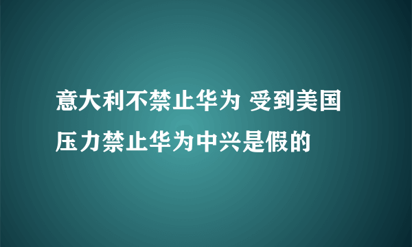 意大利不禁止华为 受到美国压力禁止华为中兴是假的