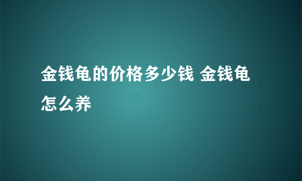 金钱龟的价格多少钱 金钱龟怎么养