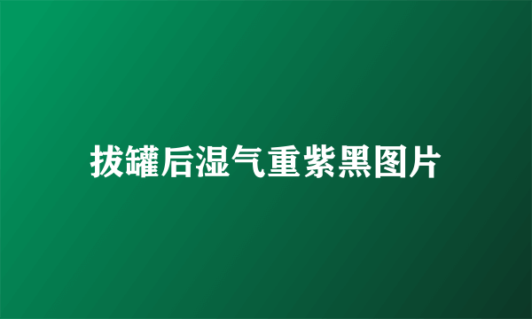 拔罐后湿气重紫黑图片