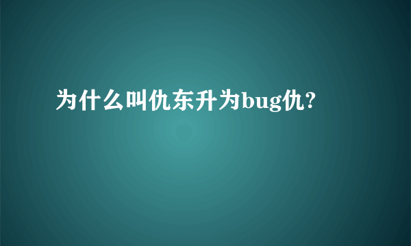 为什么叫仇东升为bug仇?