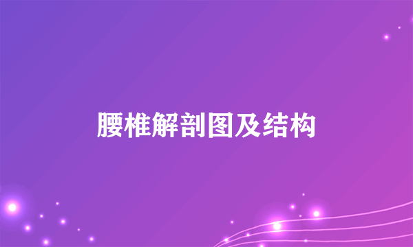 腰椎解剖图及结构