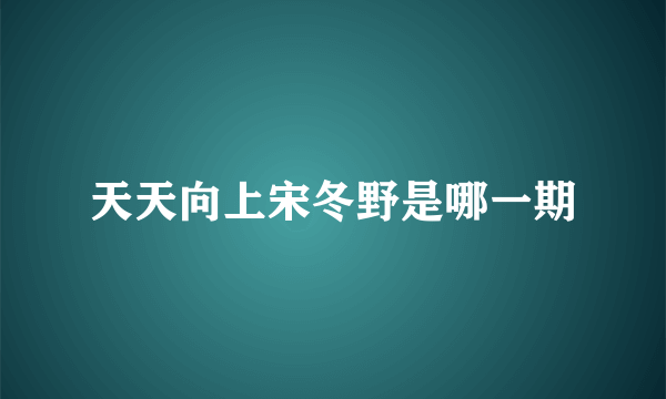 天天向上宋冬野是哪一期