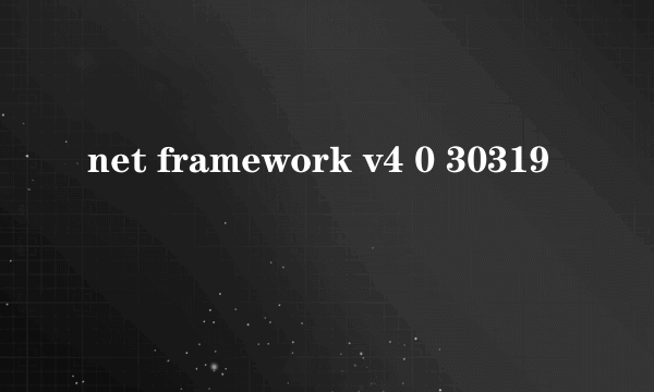 net framework v4 0 30319