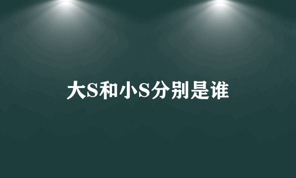 大S和小S分别是谁