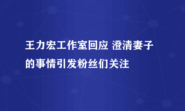 王力宏工作室回应 澄清妻子的事情引发粉丝们关注