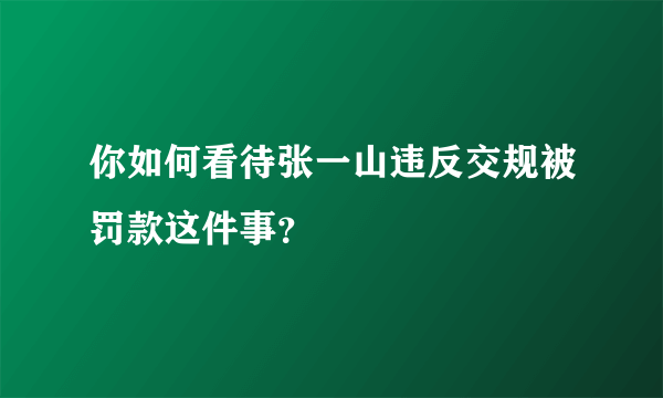 你如何看待张一山违反交规被罚款这件事？