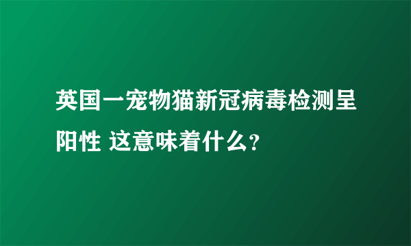 英国一宠物猫新冠病毒检测呈阳性 这意味着什么？