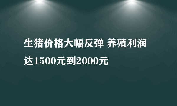 生猪价格大幅反弹 养殖利润达1500元到2000元
