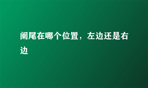 阑尾在哪个位置，左边还是右边