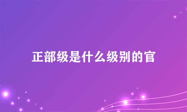 正部级是什么级别的官
