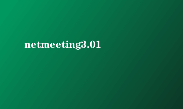netmeeting3.01