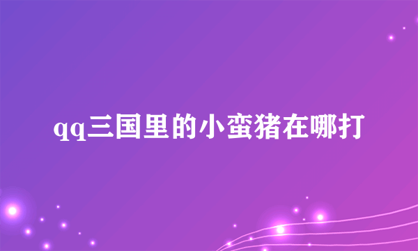 qq三国里的小蛮猪在哪打
