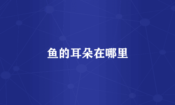鱼的耳朵在哪里