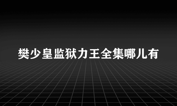 樊少皇监狱力王全集哪儿有