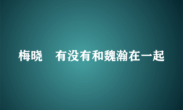 梅晓璠有没有和魏瀚在一起