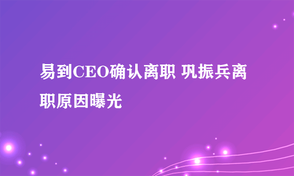 易到CEO确认离职 巩振兵离职原因曝光