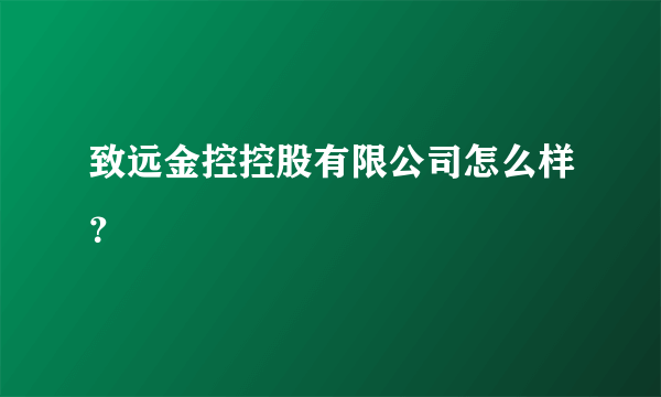 致远金控控股有限公司怎么样？