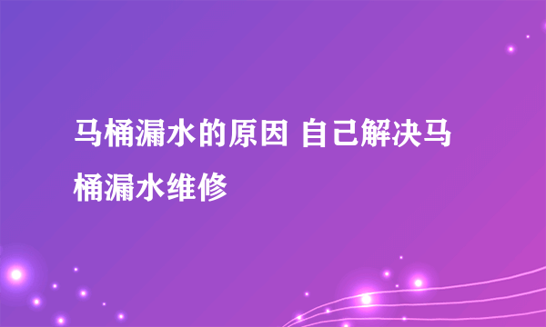 马桶漏水的原因 自己解决马桶漏水维修