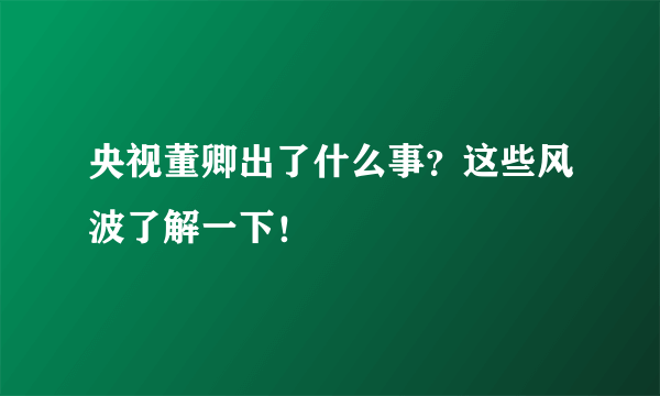 央视董卿出了什么事？这些风波了解一下！