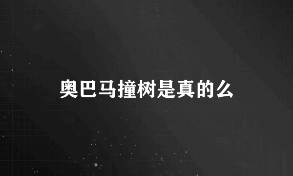 奥巴马撞树是真的么