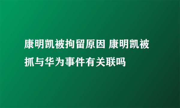 康明凯被拘留原因 康明凯被抓与华为事件有关联吗