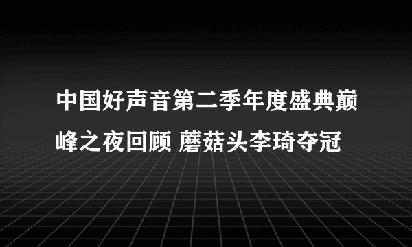 中国好声音第二季年度盛典巅峰之夜回顾 蘑菇头李琦夺冠