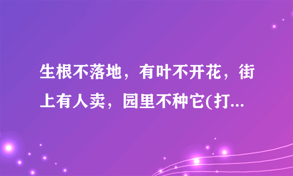 生根不落地，有叶不开花，街上有人卖，园里不种它(打一植物)